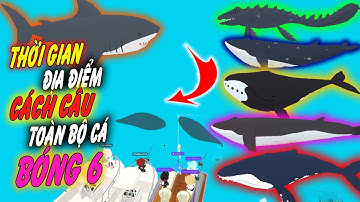 TỔNG HỢP THỜI GIAN ĐỊA ĐIỂM XUẤT HIỆN VÀ CÁCH CÂU TẤT CẢ CÁ KHỔNG LỒ BÓNG 6 | PLAY TOGETHER