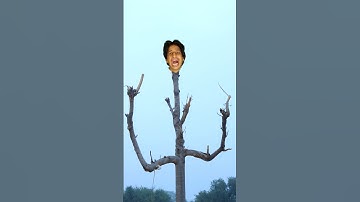 Ghost Tree🌳 or Forest people #shorts #ghost #funnyvideo #prank
