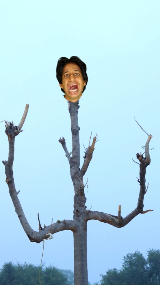 Ghost Tree? or Forest people #shorts #ghost #funnyvideo #prank
