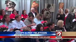 Local 12 holds telethon for SPCA