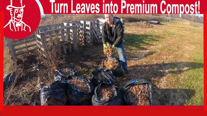 How to Compost Leaves Easy and Fast