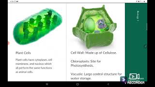 CELL TYPES AND MODIFICATIONS