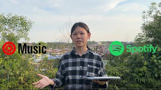 HCI Interview - Spotify VS Youtube Music