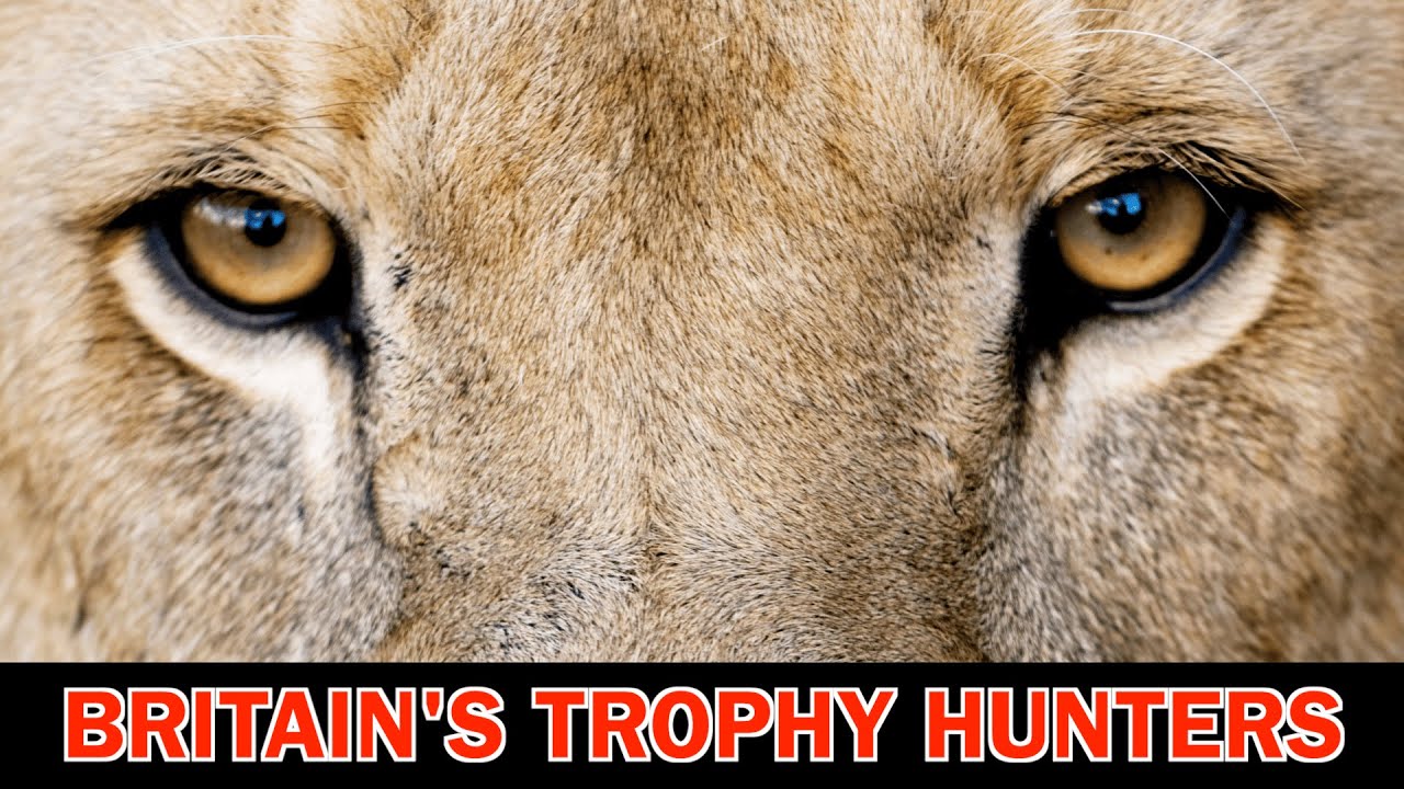 Britain's Trophy Hunters