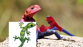 Elmo down lızards e28