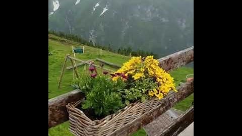 من كان يريد العزة تلاوة خاشعة الشيخ يوسف العيدروس /روائع القراءات