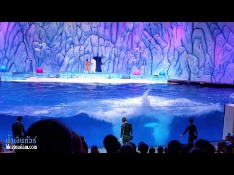 Chimelong Ocean Kingdom - Belugas Show (Part1)