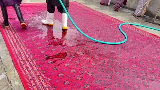 Extremely dirty runied long hair carpet cleaning satisfying ASMR