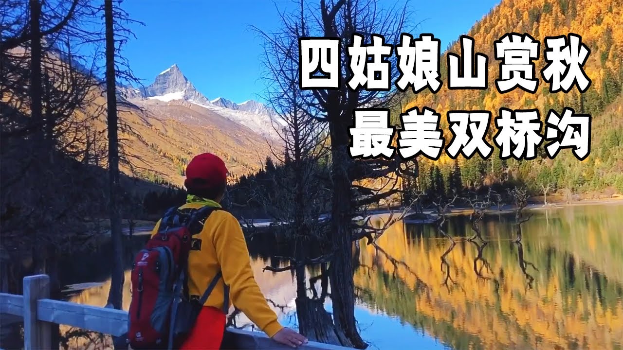 Porno video onlayn x ovchi Lisa Ann paypoq porno