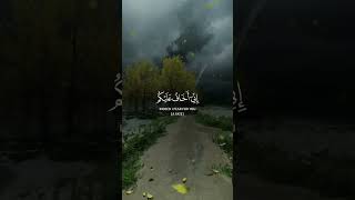 🌙Let your heart relax with this Surah🤲.The Quran brings peace and comfort.🤍#Hidayah #IslamicReminder