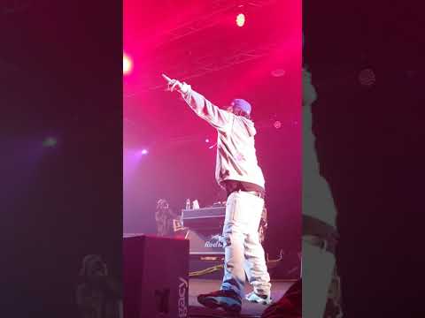 蛋頭BG8LOCC-BIG ON BIG