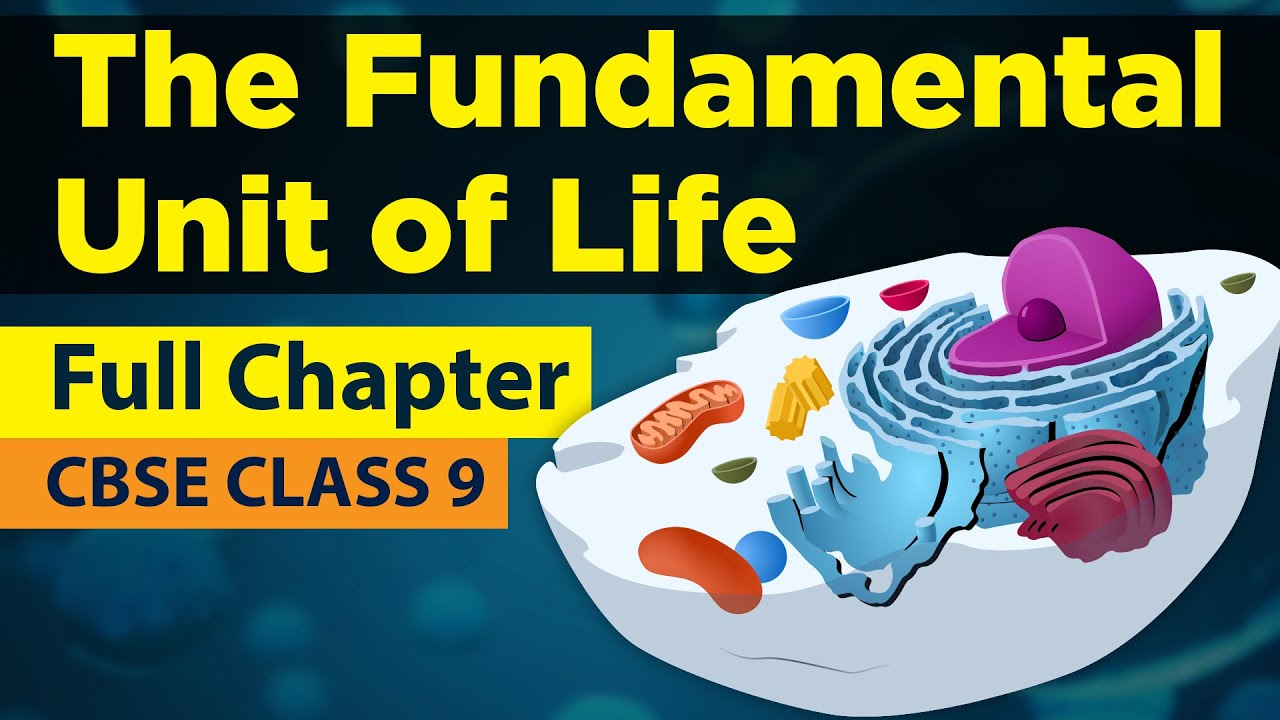 THE FUNDAMENTAL UNIT OF LIFE in 1 Shot  FULL Chapter Animation  Class 9th Biology  NCERT Science
