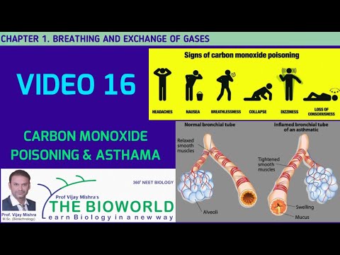 V 16 II CARBON MONOXIDE POISON, ASTHAMA II BREATHING AND EXCHANGE GASE II CHAPTER 17 I NCERT I 11 I