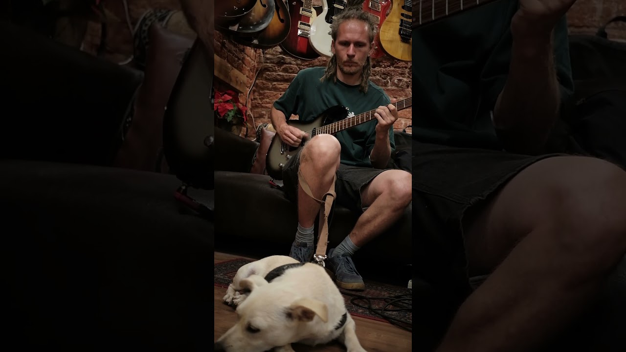 jazzy chords flow at GoodGuitars store #music