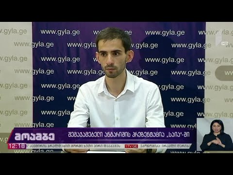 შემაჯამებელი ანგარიშის პრეზენტაცია საია-ში