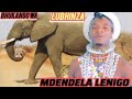 MDENDELA LINIGO BHUKANGO KWA LUBHINZA AFFICIA AUDIO BY MSAMBAZAJI LUFUNZA MANYANDA