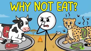 Why Humans Don't Eat Predator Meat?