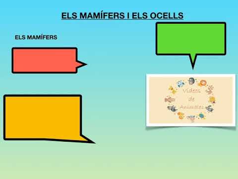 Vídeo: Quins Són Els Ocells Més Petits Del Planeta