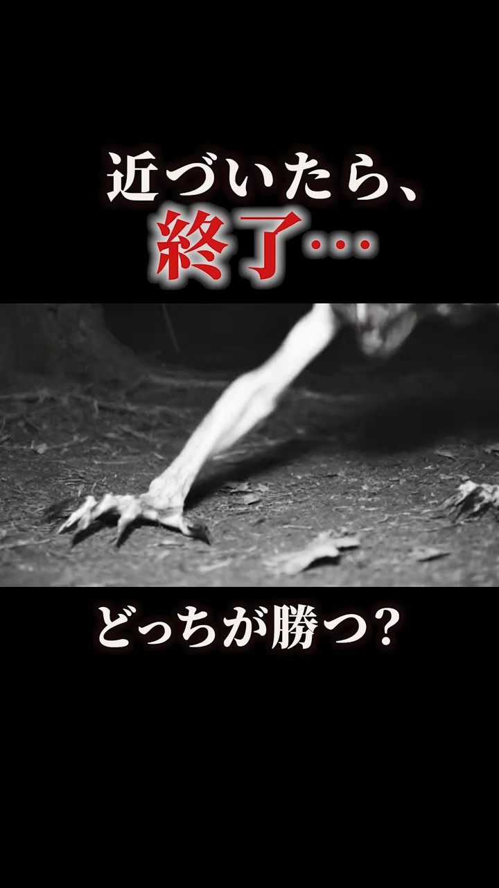 フラッドウッズモンスターvsレイク #UMA #未確認生物 #都市伝説#UMA