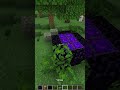 Minecraft Fallen Portal!