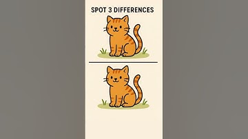 Spot The Difference - Find Difference in Pictures #shorts #catvideos #catshorts #billikivideo #cats