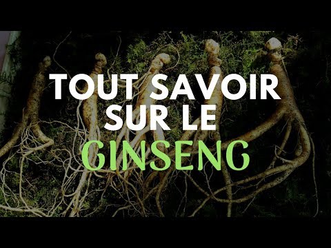 Vidéo: Le ginseng est-il bon pour vous : cultiver du ginseng comme herbe médicinale