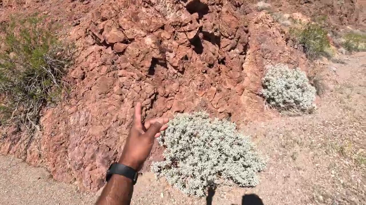 Hidden Treasures: Exploring Lone Palm and Lost Man Hot Springs Loop | Lake Mead