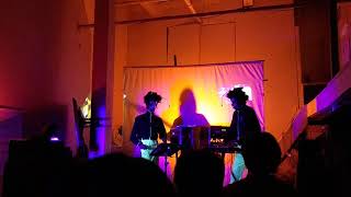 macula dog - plastic lassie (live 20190420)