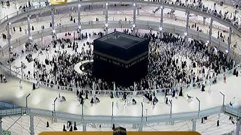 عبدالودود حنيف ماتيسر من سورة الأنعام