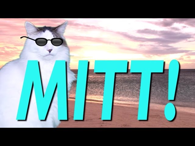 HAPPY BIRTHDAY MITT! - EPIC CAT Happy Birthday Song