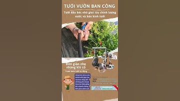 "Cùng mình lắp đặt tưới nhỏ giọt cho ban công sân thượng" #tướinỏgiọt #lắpđặtưới #câyxanh #garden