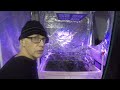 The Indoor Craft Grower