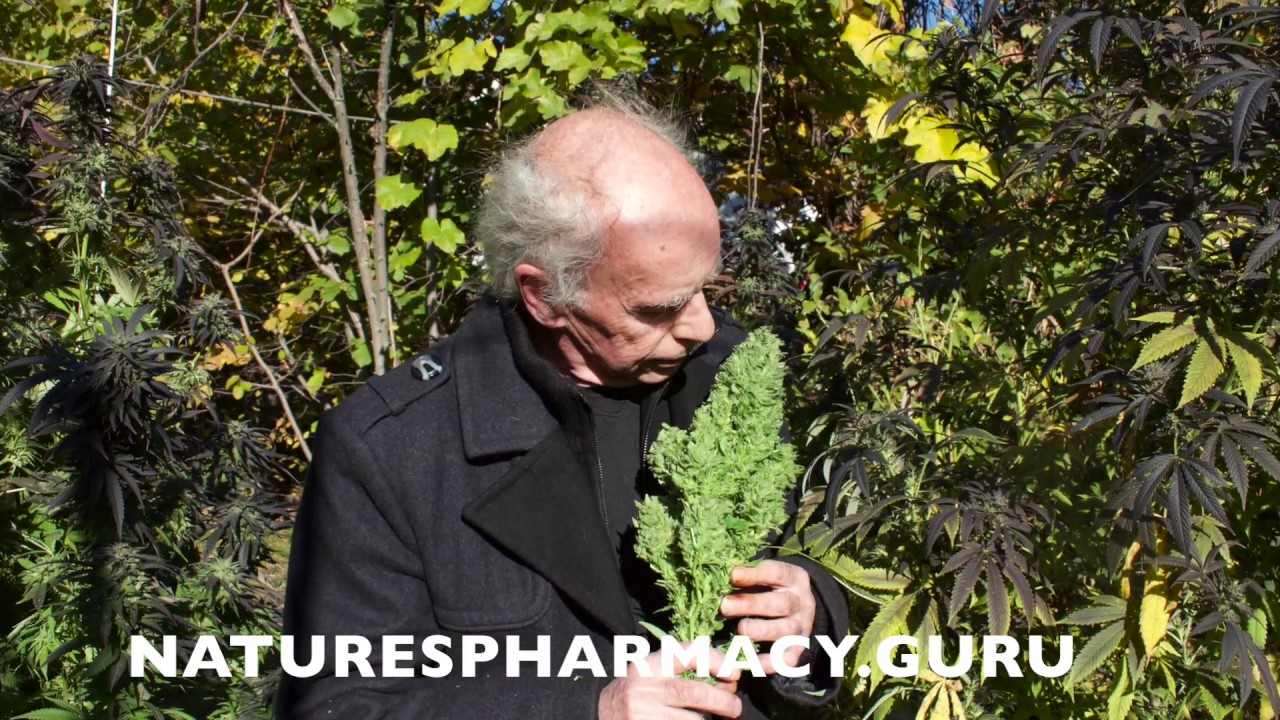 The Indoor Craft Grower