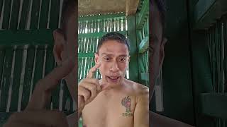trillanes ang nagdala ng kaguluhan sa Pilipinas #wagkanggamol #comedy #comedyshorts #shorts