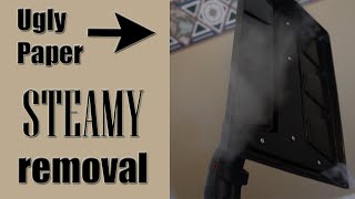 Famous Wallpaper Border Removal Wealth