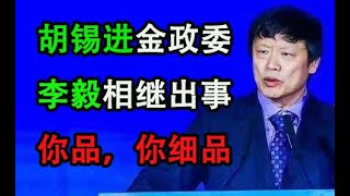 胡锡进是真有私生子,还是被“第五纵队”陷害,要把“环球时报”变成下一个“新京报”,接管国内舆论?