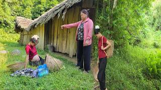 Hoa’s Ex-Husband and Mrs. Huong Plot to Drive Her Out of the House  Hoa Falls into a Desperate.