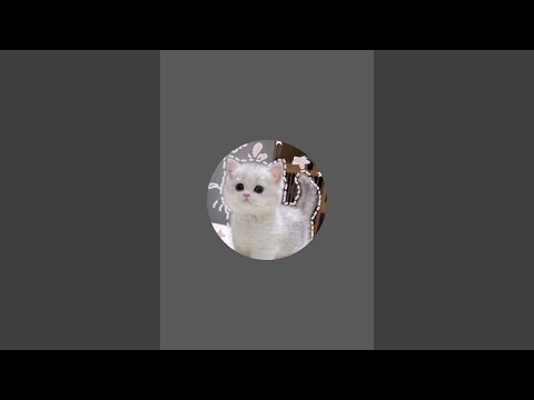 Amila is live!