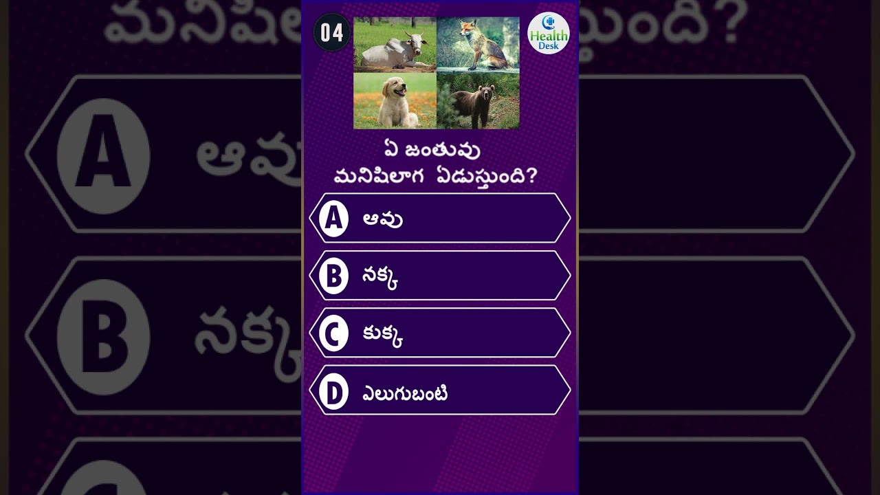 Interesting health questions/Unknown Facts About Animals/ 