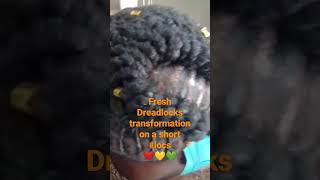 2022 #short Dreadlock Hairstyle for Black women  #locs #locstyles #shorts #dreadstyles