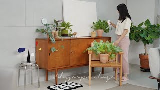 видео: Полезные советы по уходу за осенними растениями 🌱 6 красивых растений, за которыми легко ухаживать 🌿 картинка: Полезные советы по уходу за осенними растениями 🌱 6 красивых растений, за которыми легко ухаживать 🌿