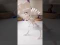 3D-printed dinosaur T-Rex #3dprinting #trex #dinosaur