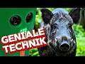 Wildunfälle verhindern: Diese Technik rettet Leben!