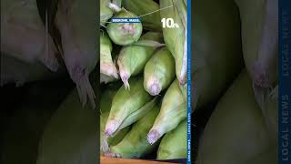 Farmers ask shoppers to stop fully shucking corn before buying