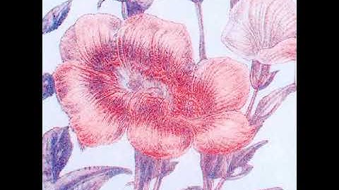 GAN Risograph Animation