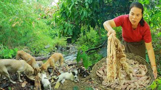 survival in the rainforest-found pig intestine with pineapple for cook &amp; give to pets HD