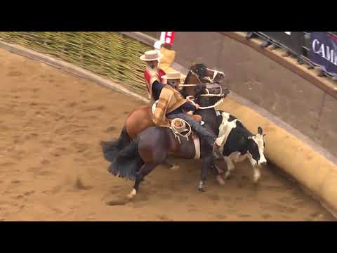 RODEO EN VIVO 36 SERIE CRIADEROS 2018