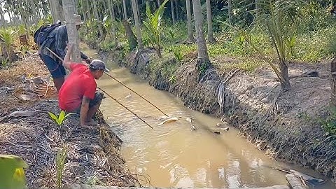 Kích Cá Địa Điểm Mới Trúng Quá Nhiều Cá Ngon 