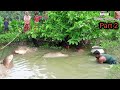10 Kg Big Black Carp &amp; Coral Fish Catching in Fish Farm||Unbelievable Fishing