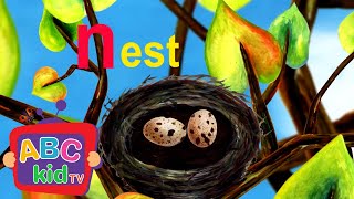 Learn the ABCs: "N" is for newt and nest | ABC Kid TV Nursery Rhymes & Kids Songs